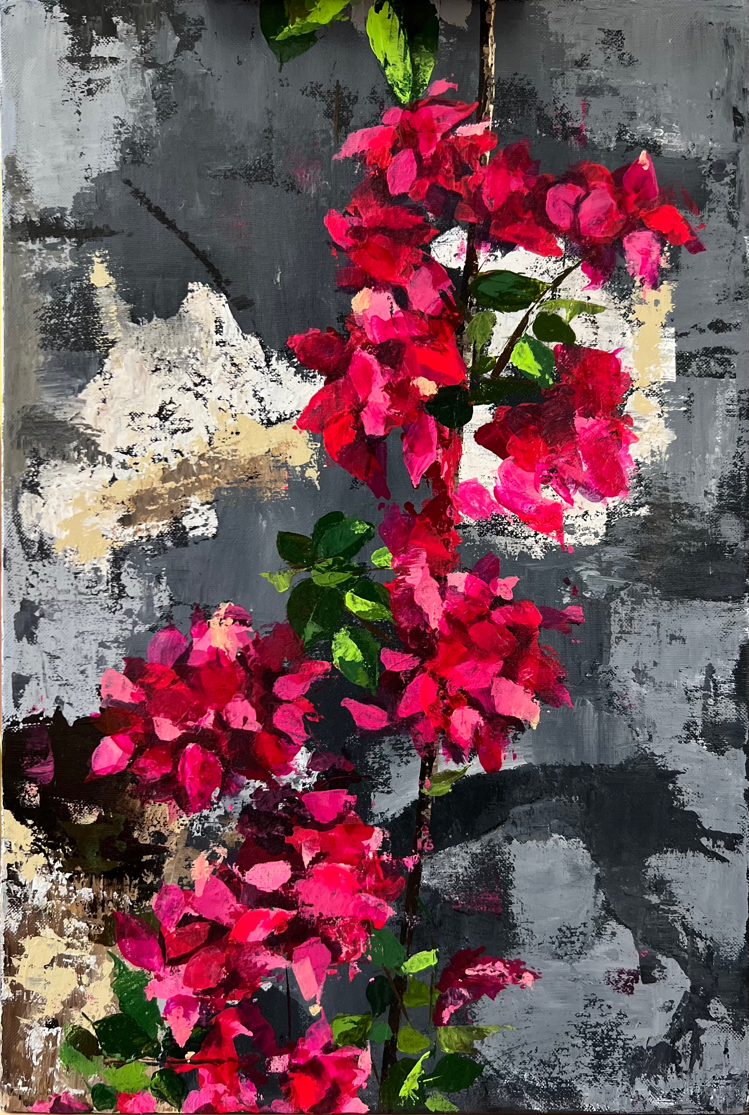 Bougainvillea